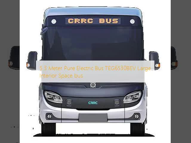 5.3 Meter Pure Electric Bus TEG6530BEV Large Interior Space bus