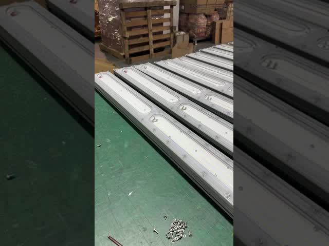 Explosion Proof Linear Light Hazardous Location LED Light with 210lm/w Efficiency IP66 Rating and 5500-6500K Color Temperature