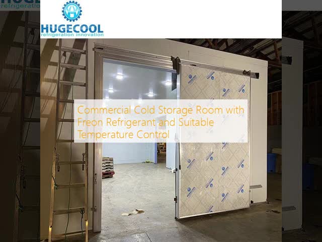 Commercial Cold Storage Room with Freon Refrigerant and Suitable Temperature Control
