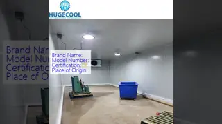 Commercial Cold Storage Room with Freon Refrigerant and Suitable Temperature Control