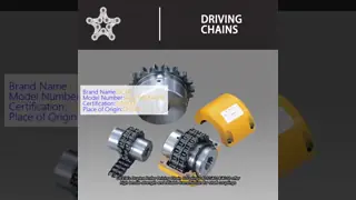 Acoplamiento a dos caras 4012 de la cadena impulsora del rodillo 4014 4016