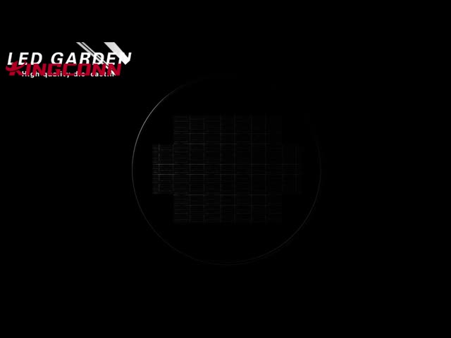 IP65 Waterproof Solar Garden Lights With Radar Sensor For Garden Porch Wall mounted