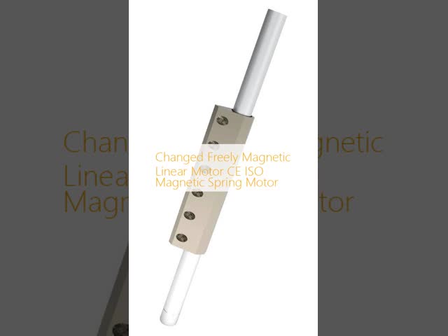 Changed Freely Magnetic Linear Motor CE ISO Magnetic Spring Motor