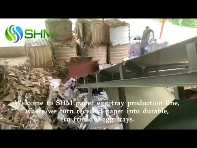 Automatic Pulp Egg Tray Making Machine | High-Strength Medical Tray Production Line | Waste Paper Recycling Equipment