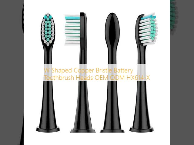 W Shaped Copper Bristle Battery Toothbrush Heads OEM ODM HX614-X