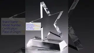 6 inch Star Shaped Freestanding Acrylic Plaque , Custom Printed Acrylic Star Awards