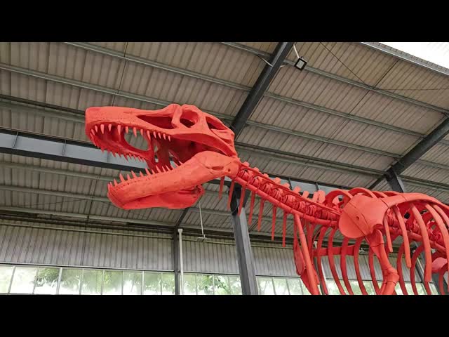 Fiberglass Sculpture Life Size Dinosaur Skeleton Model Resin Crafts
