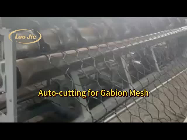 Reinforced Woven Gabion Rock Box Mesh For Slope River Wall Protection