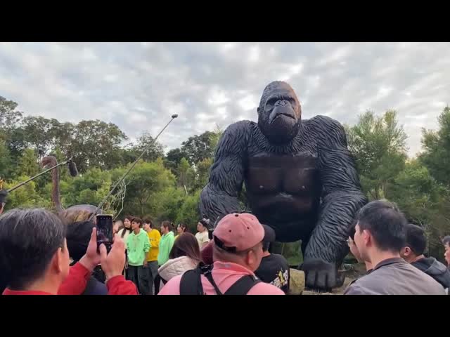 Giant Life Size King Kong Statue Realistic Waterproof Animatronic Animal Gorilla Model