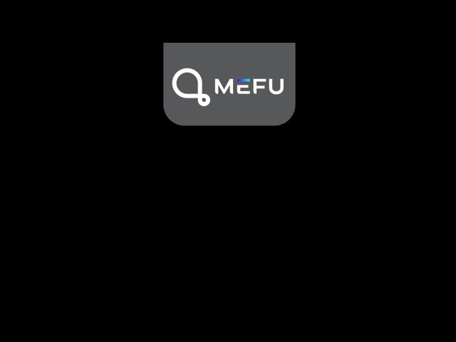 CE Certificate Vinyl Sign Roller Applicator Silver Bubble Free Pro Applicator