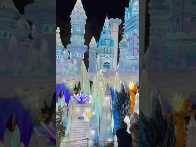 Customizable Large Outdoor Lanterns for Festive Light Shows & Decorations-New Year Halloween Thanksgiving Easter