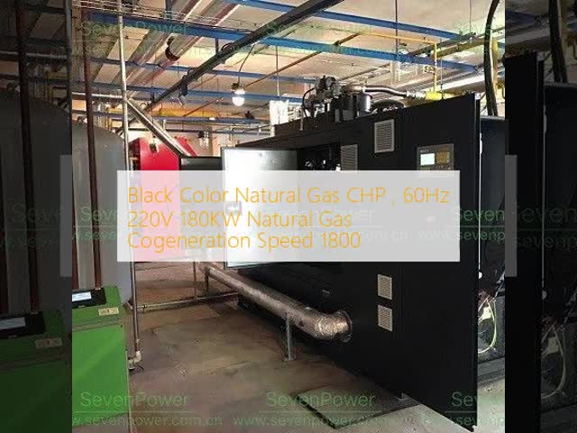 Black Color Natural Gas CHP , 60Hz 220V 180KW Natural Gas Cogeneration Speed 1800