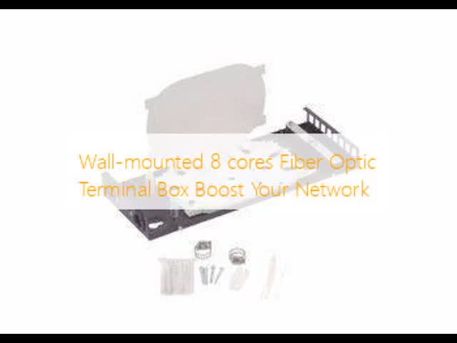 Wall-mounted 8 cores Fiber Optic Terminal Box Boost Your Network