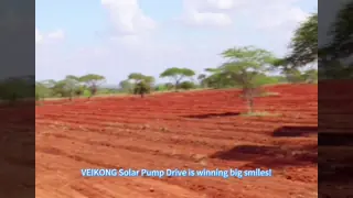 Invertitore di pompa solare MPPT VFD per sistema di pompaggio solare a tre fasi da 2,2 kW e 4 kW