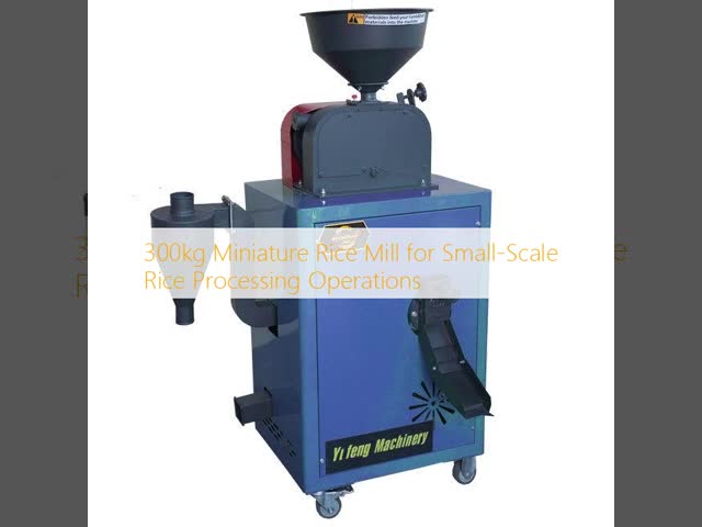 300kg Miniature Rice Mill for Small-Scale Rice Processing Operations