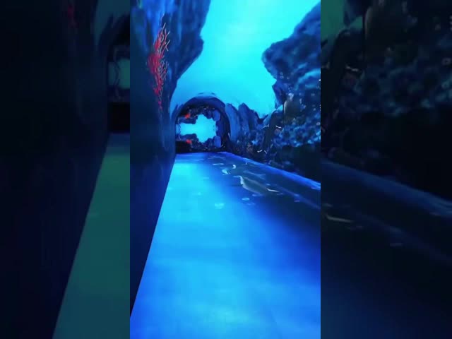 HD COB Transparent LED Video Wall Display Advertising Screen IP65 Waterproof