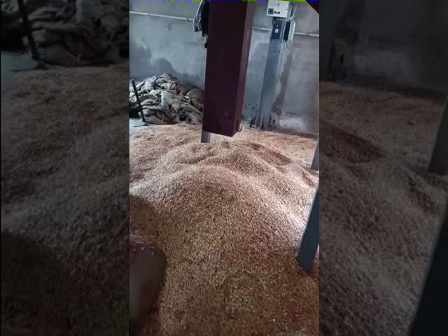 Circulating batch type 35 tons paddy dryer machine intelligent automatic 35 tons paddy dryer