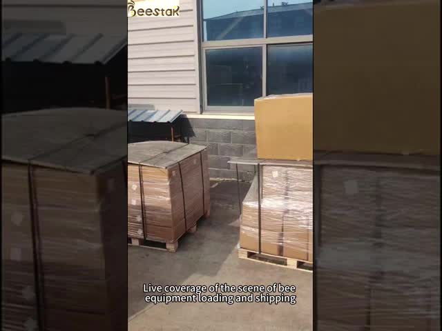 High Quality Galvanized Material Frame Saver Beekeeping Equipment