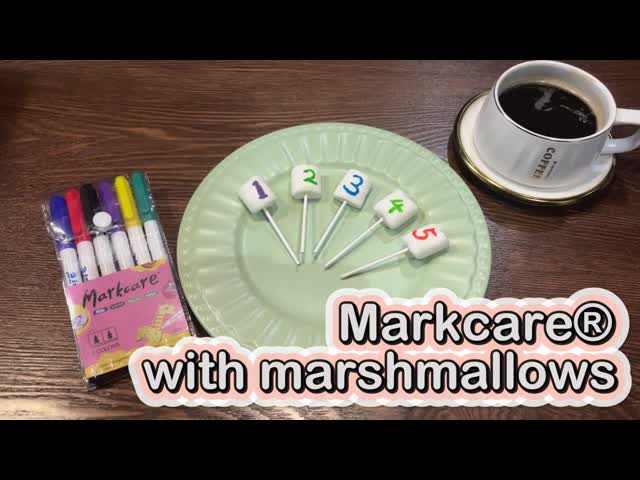 FDA Approved PMMA Edible Food Marker Pen Cookie Decorating Markers