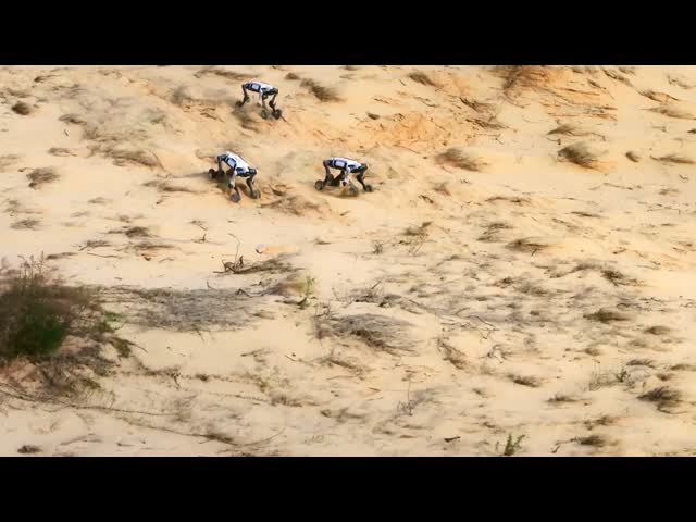 Lightweight Wheel-legged Robotic Dog with IP66 Protection and 15kg Payload for Extreme Environments