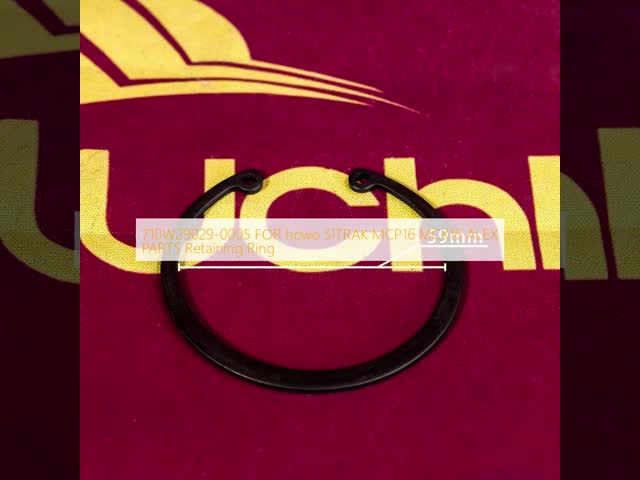710W29029-0005 FOR howo SITRAK MCP16 MCX16 ALEX PARTS Retaining Ring video