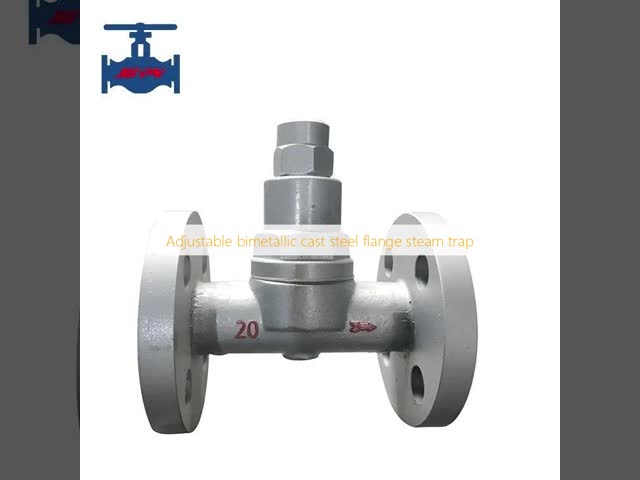 Adjustable Cast Steel Bimetallic Steam Trap with Large Drainage Capacity and Flange Connection