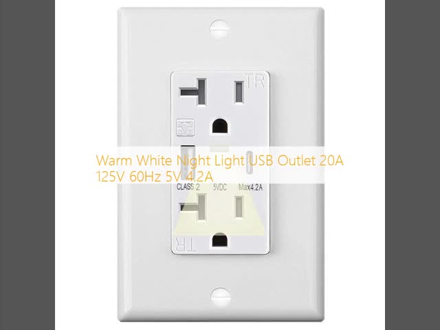 Warm White Night Light USB Outlet 20A 125V 60Hz 5V 4.2A