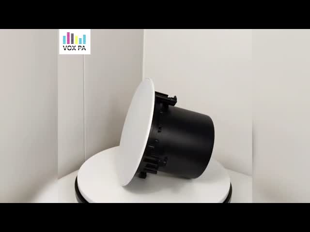 40W 100V 8-inch Commercial Audio Coaxial Speaker Public Address System Iron OEM ODM Customization