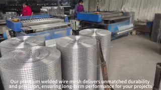 Galvanized Steel Welded Wire Mesh for Construction Reinforcement and Fencing