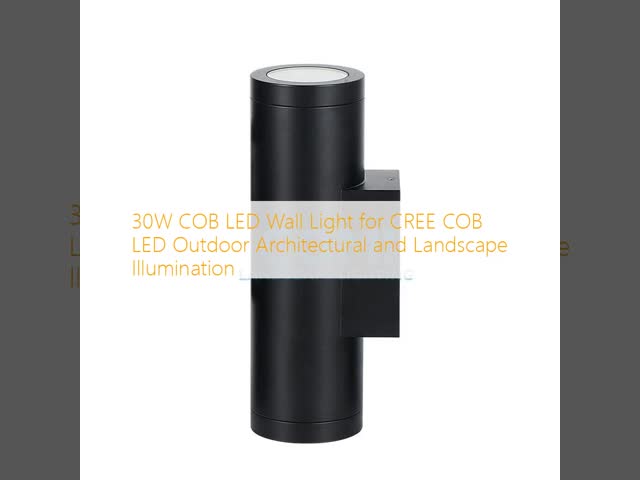 30W COB LED Wall Light for CREE COB LED Outdoor Architectural and Landscape Illumination