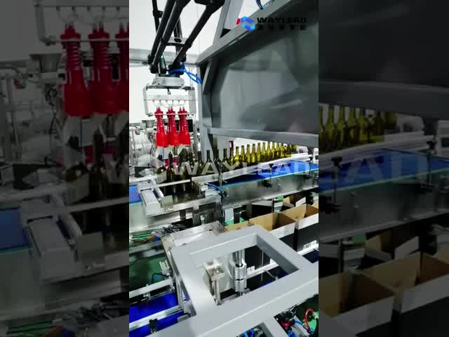 Automatic Two-Axis Robot Case Packer High Efficiency Carton Packing Machine