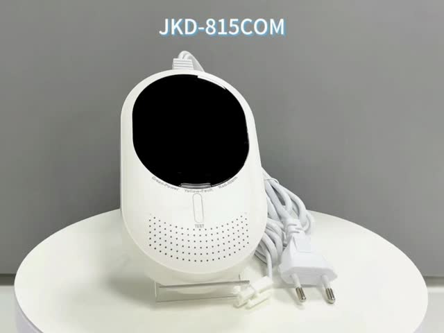 Smart Wifi Carbon Monoxide Detector EN50291 Certified Combustible Gas Detectors With Dual Sensor