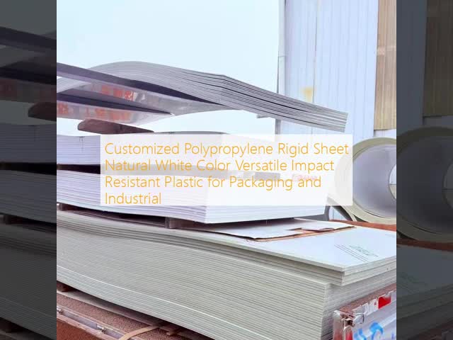Customized Polypropylene Rigid Sheet Natural White Color Versatile Impact Resistant Plastic for Packaging and Industrial