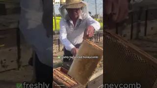 China 50ml 75ml 100ml Mini Glass Honey Jars Glass Honey Bottle supplier