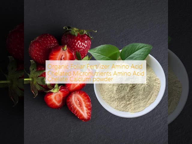 Organic Foliar Fertilizer Amino Acid Chelated Micronutrients Amino Acid Chelate Calcium powder