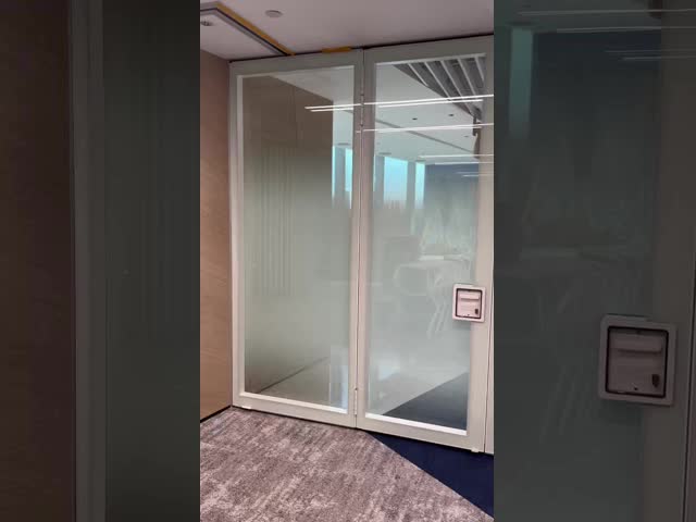 Anodized Aluminum Modern Fireproof Office Partition Wall Designed to Improve Office Layout and Provide Privacy Solutions