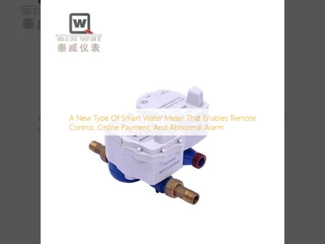 Remote Control Smart Water Meter Horizontal / Vertical Installation