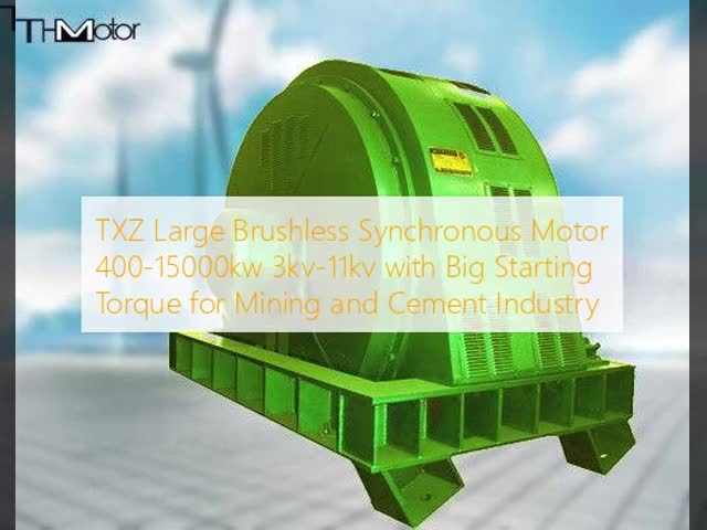 TXZ Large Brushless Synchronous Motor 400-15000kw 3kv-11kv with Big Starting Torque for Mining and Cement Industry