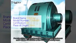 TXZ Large Brushless Synchronous Motor 400-15000kw 3kv-11kv with Big Starting Torque for Mining and Cement Industry