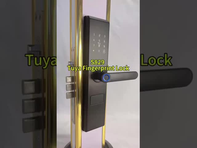 Qleung S829 Tuya Wifi Remote Control Digital Lock Fingerprint Password Key Card Access Smart Home Door Lock