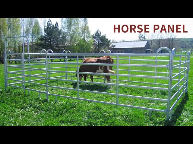 Powder Coated Horse Corral Panels Galvanized Horse Fence Panels 1.8m Height