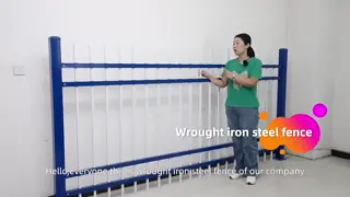 Outdoor Garden Wrought Iron Fence PVC Coated Galvanized Steel