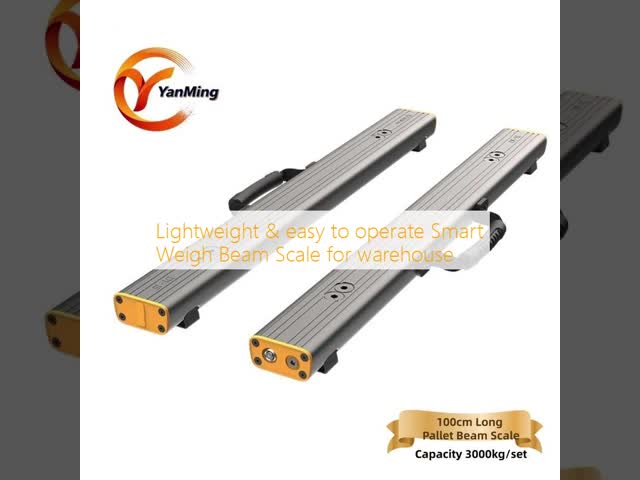 Lightweight Smart Weigh Beam Scale with Bluetooth Printer and 3000kg Load Capacity for Warehousing