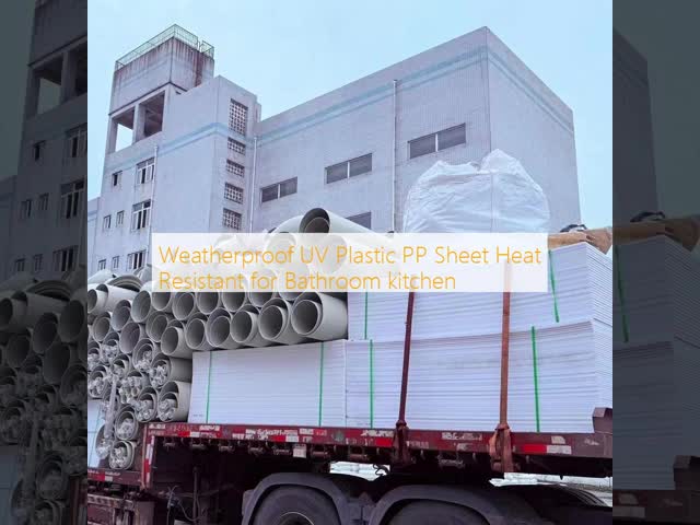 Thickness Typically Ranges From 0.2mm To 10mm Plastic Polypropylene Panel 100 Recyclable Ideal For Packaging Construction And Manufacturing Uses