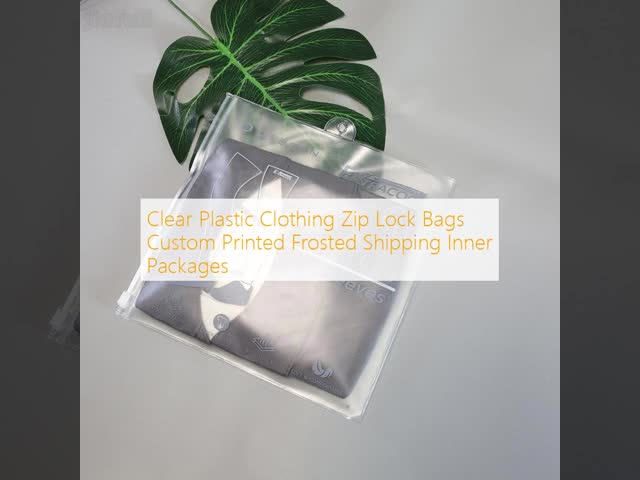 Clear Plastic Clothing Zip Lock Bags Custom Printed Frosted Shipping Inner Packages