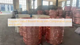 Copper-Coated Round Wires with Comparative  price and quality