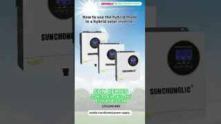 Hybrid Solar Inverter with 450V PV Input 2KW Output and Real Time Monitoring