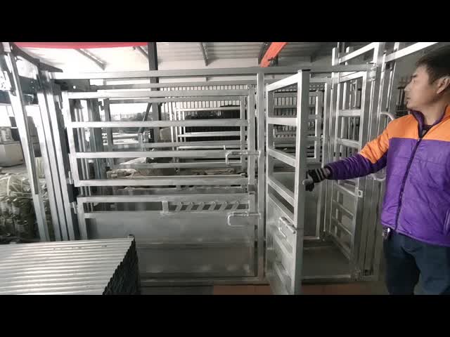 Customized Cattle Head Crush Galvanized Cattle Clipping Crush