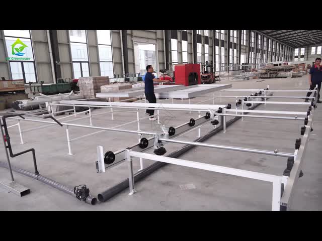 Custom Logistics-based Track-mounted Adjustable Ebb and Flow Table Seedling Bed for Greenhouse Seedling Cultivation