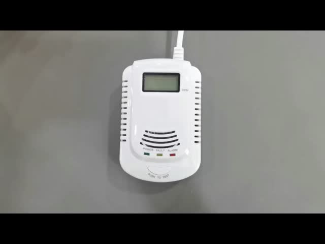 Dual Sensor Gas Carbon Monoxide Detectors Wall Mounted Gas And CO Detector
